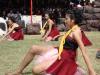 Click to view dsc01478_t1.jpg