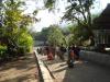 Click to view dsc00477_t1.jpg