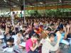 Click to view dsc00484_t1.jpg