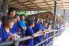Click to view dsc_0641_t1.jpg