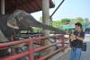 Click to view dsc_0764_t1.jpg