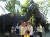 Click to view dsc09691_t1.jpg