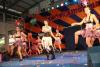 Click to view img_7460_t1.jpg