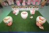 Click to view img_4162_t1.jpg