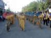 Click to view dsc00267_t1.jpg
