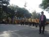 Click to view dsc08179_t1.jpg