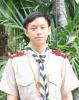 Click to view apirug_t1.jpg