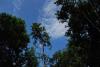 Click to view sc251-24_t1.jpg