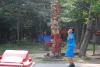 Click to view sc251-38_t1.jpg